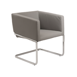 Ari Lounge Chair - Gray